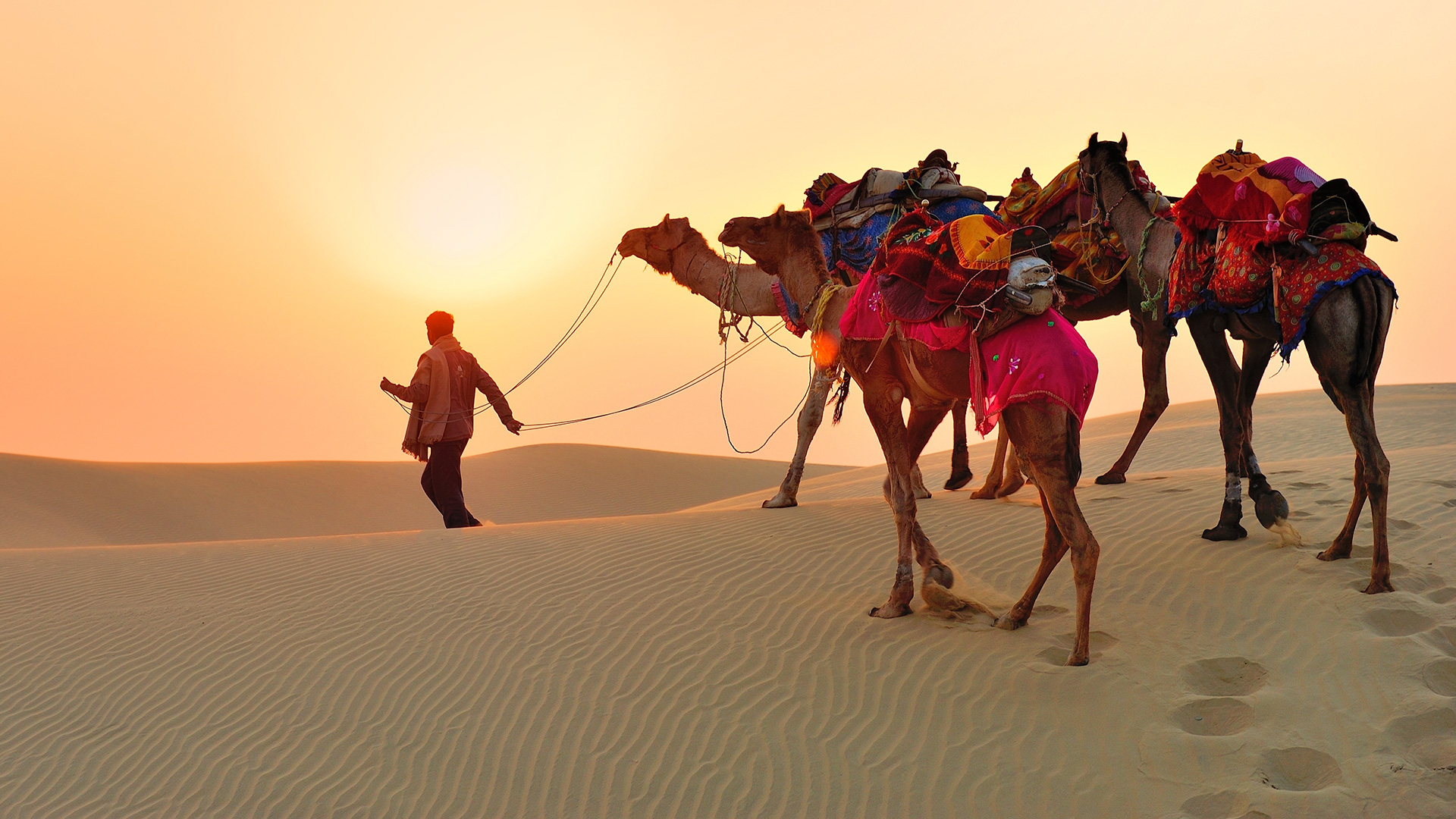 Enjoy With Excellent Safaris in Rajasthan