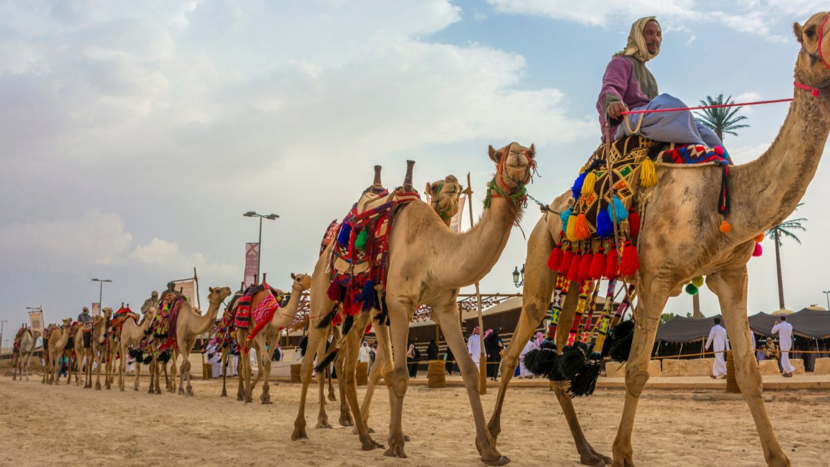 Enjoy Bikaner Camel Festival with Us