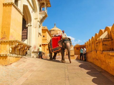 Discover the Royal Heritage: Rajasthan Tour Packages from Kolkata