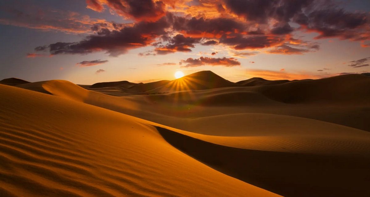 Thrilling Quad Biking Experience in the Golden Dunes of Jaisalmer