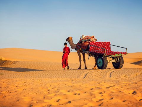 Unveiling Thrills: Popular Adventures in Rajasthan