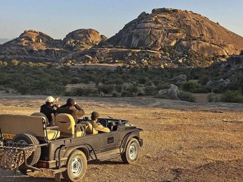 Discover the Best Places to Visit in Jawai Bandh