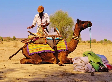 Rajasthan Customized Experience